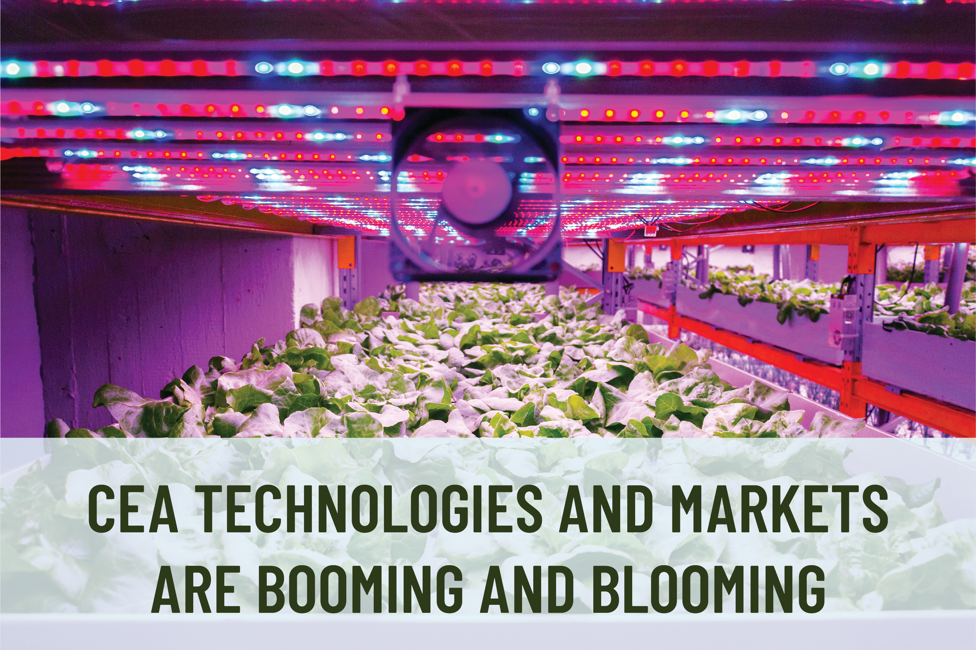 Indoor grow facility